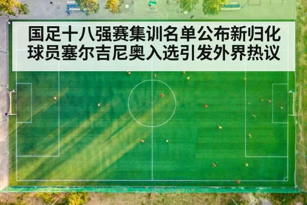 国足十八强赛集训名单公布新归化球员塞尔吉尼奥入选引发外界热议