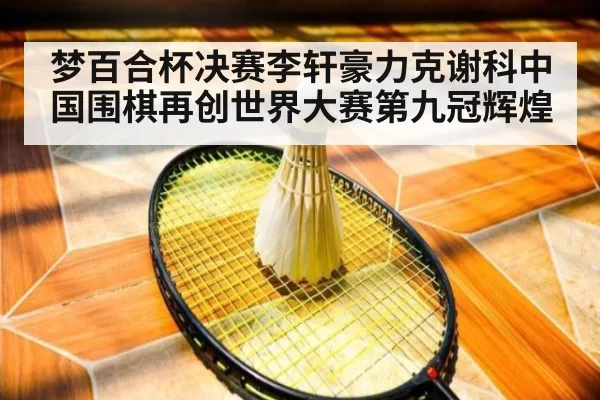 梦百合杯决赛李轩豪力克谢科中国围棋再创世界大赛第九冠辉煌